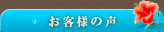 ql̐